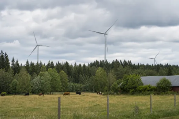 Naturmiljö i närheten av vindkraft