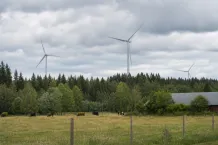 Naturmiljö i närheten av vindkraft