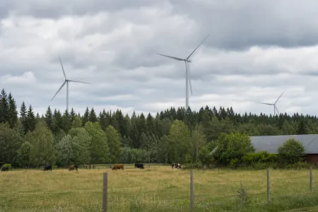 Naturmiljö i närheten av vindkraft